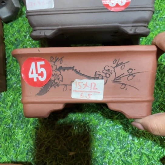 红陶20CM（含）-50CM（不含）