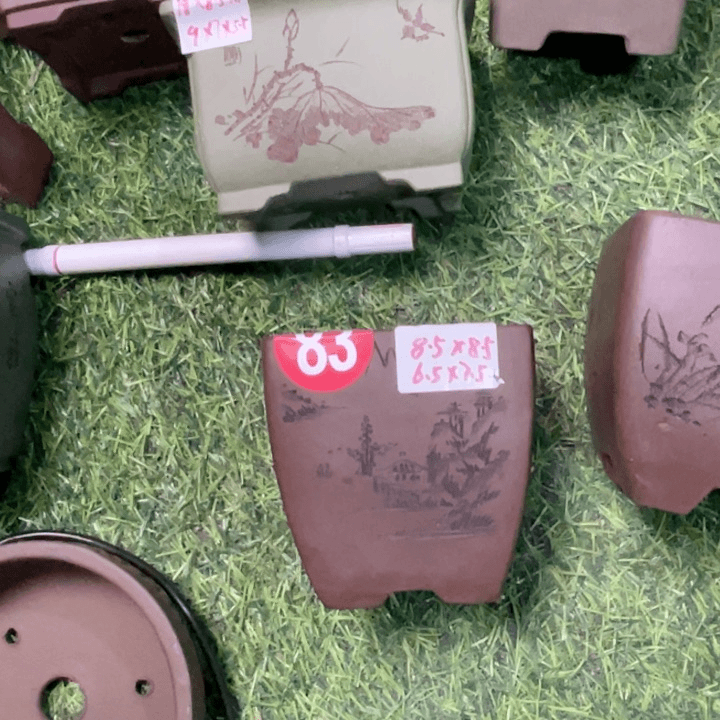 紫砂20CM（含）-50CM（不含）