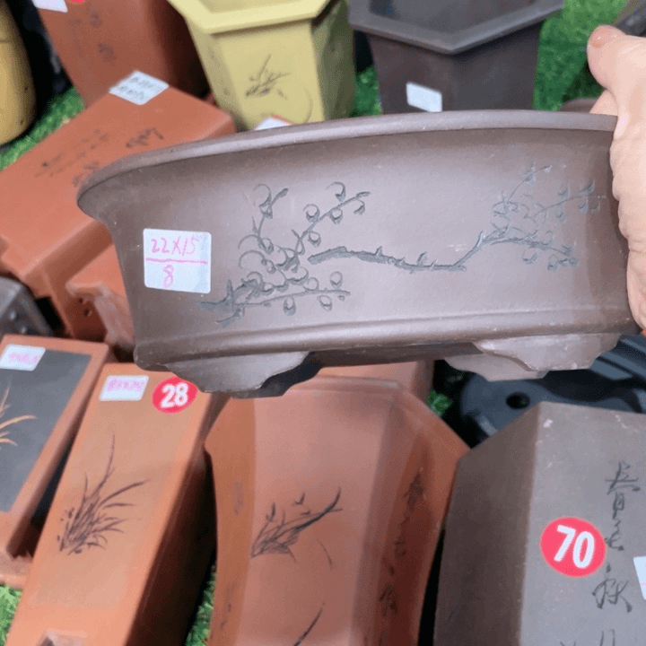 紫砂20CM（含）-50CM（不含）