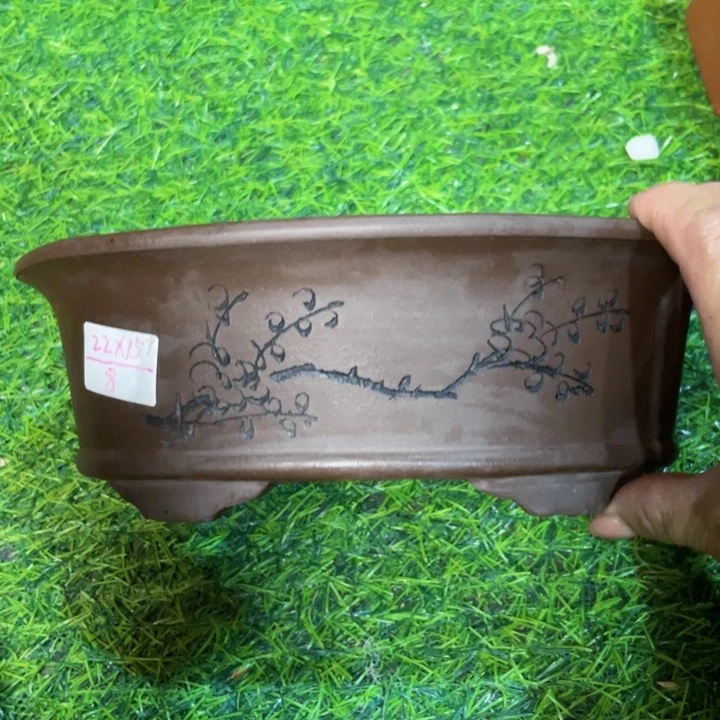 紫砂20CM（含）-50CM（不含）