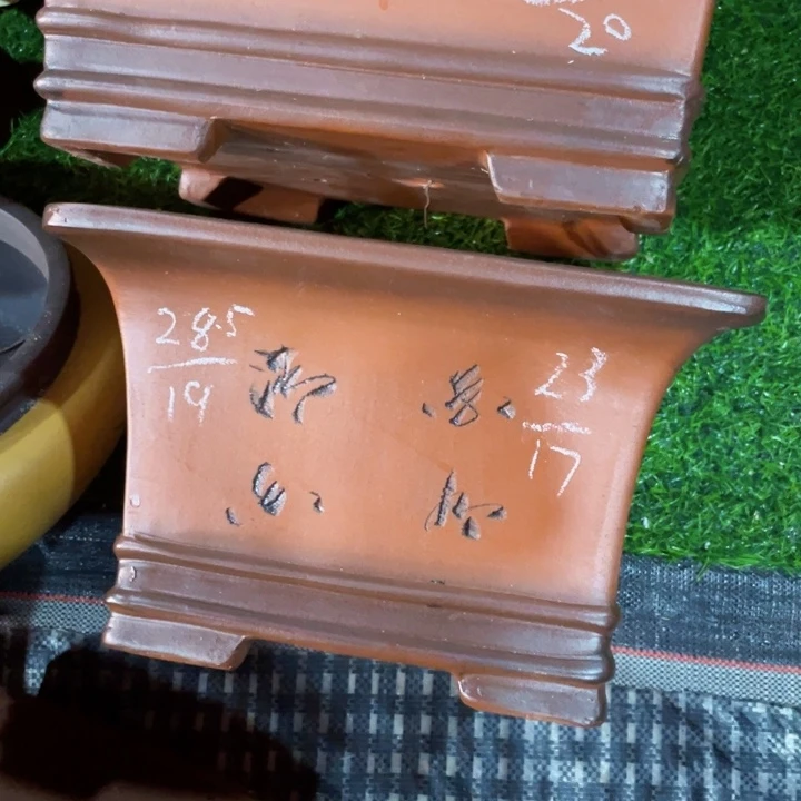 紫砂20CM（含）-50CM（不含）