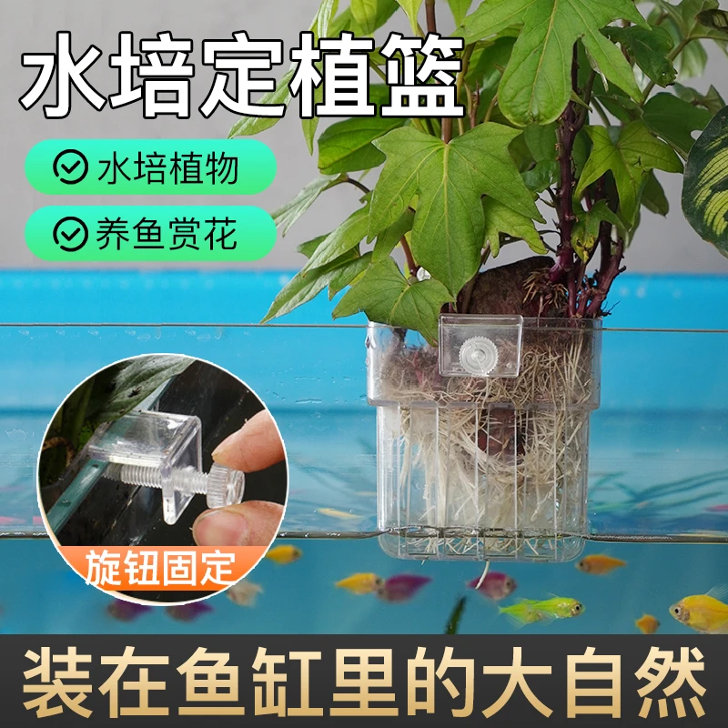 【水培红薯定植篮】水培植物篮水草种植杯鱼缸造景装饰旋钮XL