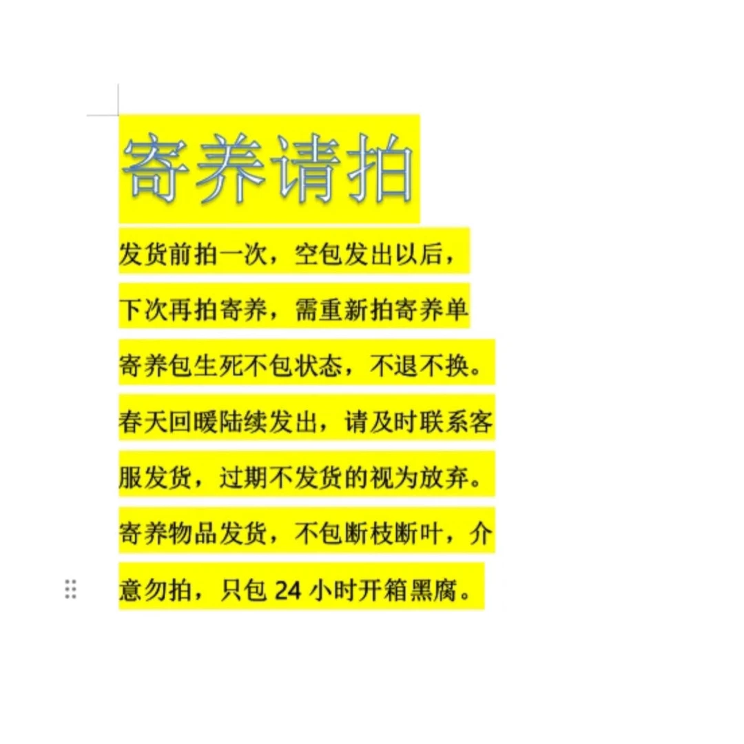 寄养 多肉植物寄养请拍此链接