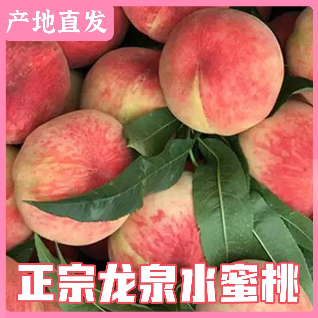 【产地直发】正宗龙泉水蜜桃小白凤爆甜多汁