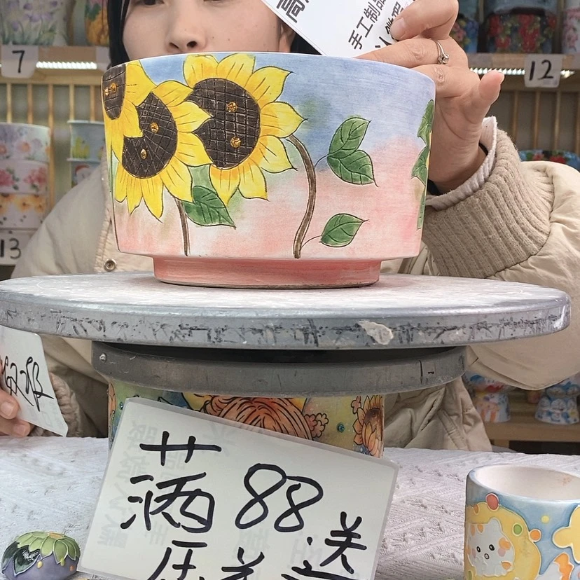 【闪购商品】陶瓷花盆微瑕11