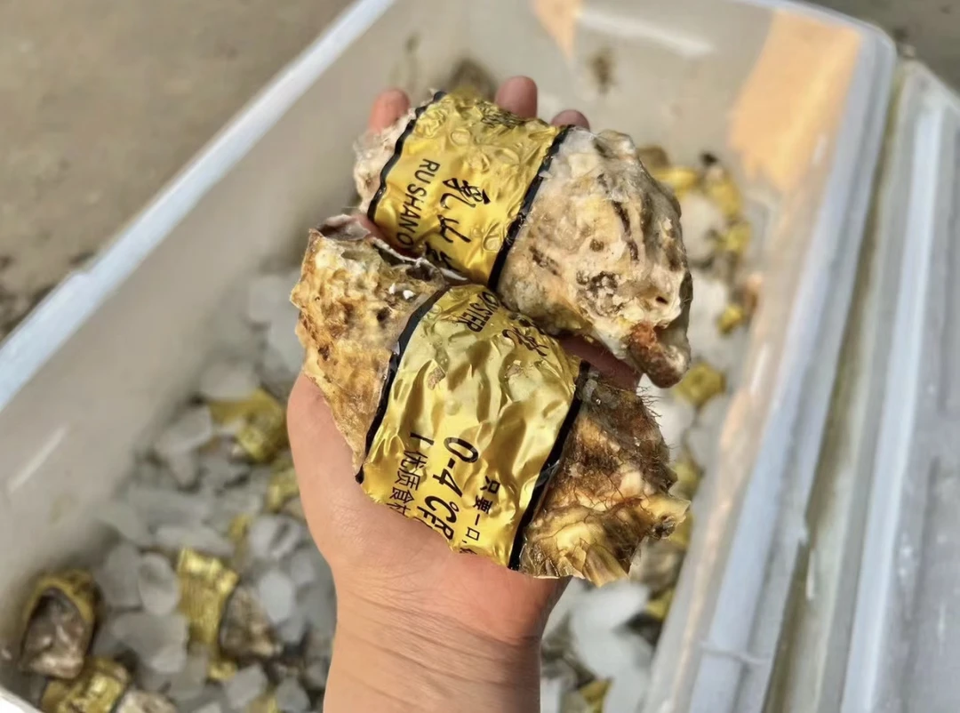 【首播福利】10只3加大生蚝超值购|保鲜不保活