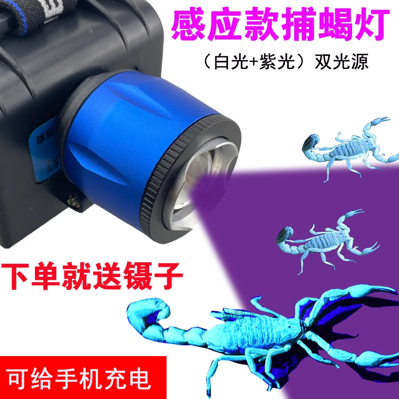 感应蝎子灯USB充电户外白光照明捕蝎头灯 紫白双光头戴抓捉蝎子