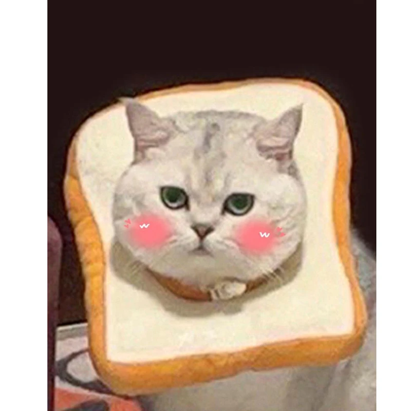 猫咪狗狗项圈伊丽莎白软圈防舔耻辱圈可调节绝育围脖圈可爱小头套