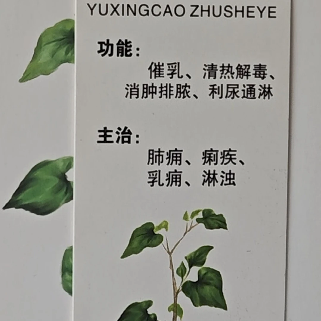 鱼腥草猪牛羊消炎必备
