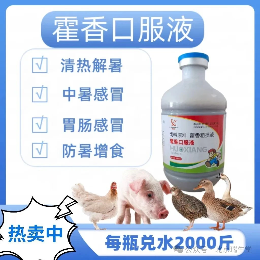 藿香正气液兽用消暑促食猪牛羊鸡鸭鹅孕畜专用藿香正气降温解暑