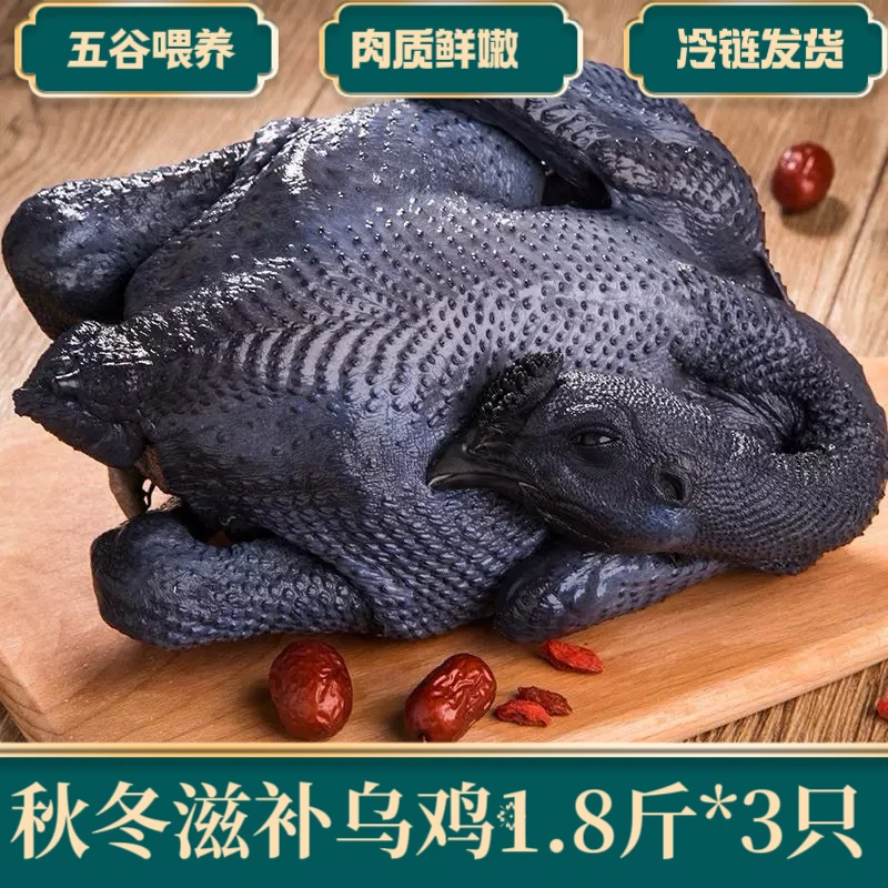 溪月鲜冷链发货，乌鸡，炖汤，无内脏，净膛发货
