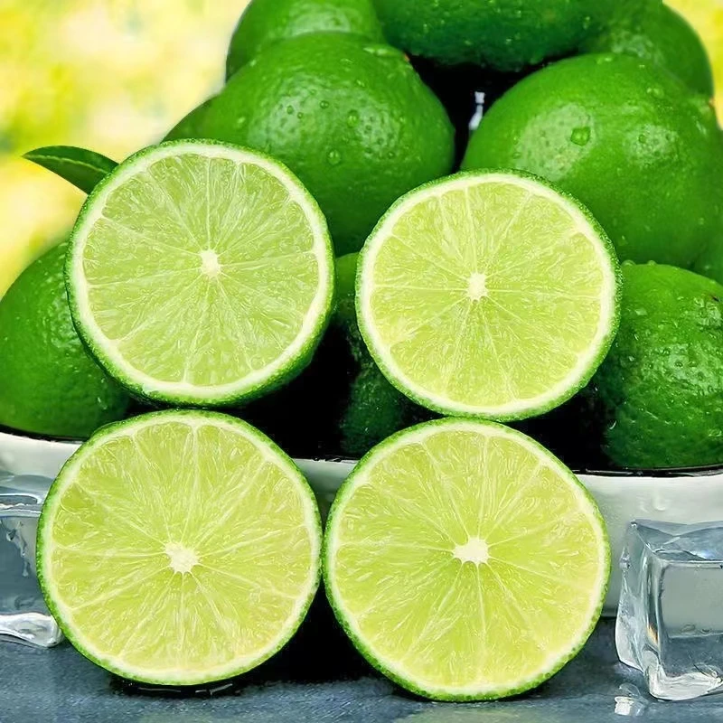 【坏果包赔】塔西提柠檬新鲜无籽青柠檬多汁皮薄清新小青柠包邮5斤