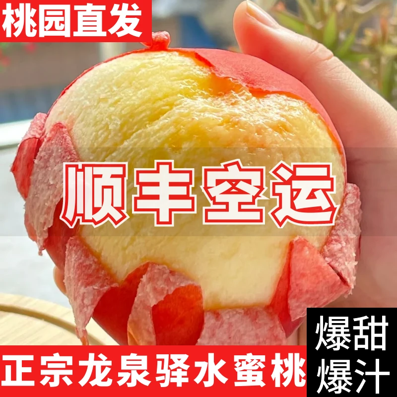 正宗四川龙泉驿水蜜桃爆汁软耙桃子基地直发新鲜现摘顺丰空运