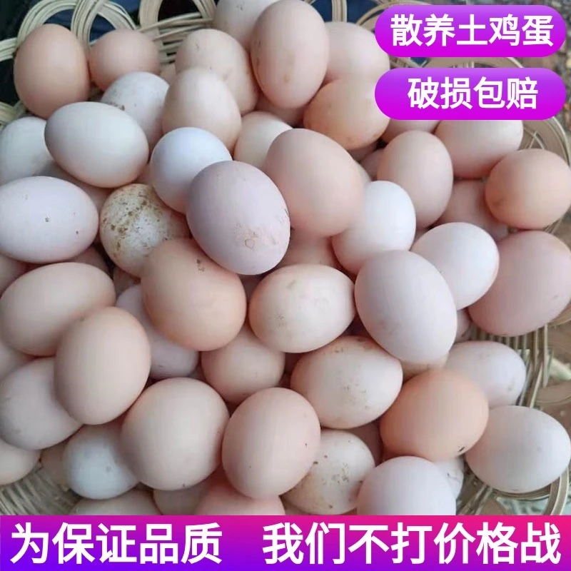 湖南石门农家散养土鸡蛋50枚草鸡蛋柴鸡蛋笨鸡蛋农村喂养新鲜鸡蛋