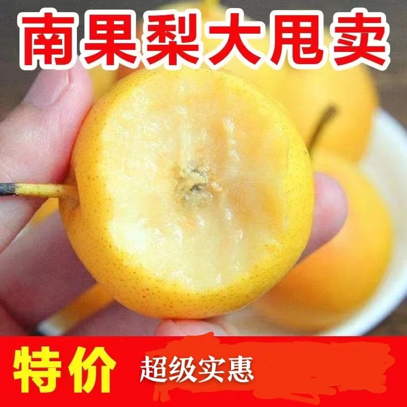 瑕疵果净果约4.7-5.2斤、表皮丑一点、口感一样好（途中梨冻了不包赔