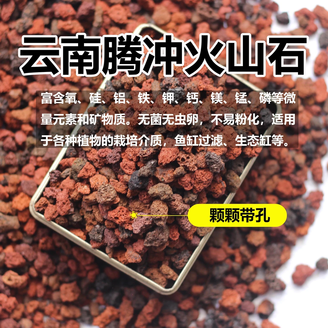 腾冲优质天然火山石颗粒多肉兰花种植鱼缸养鱼过滤水质透水透气