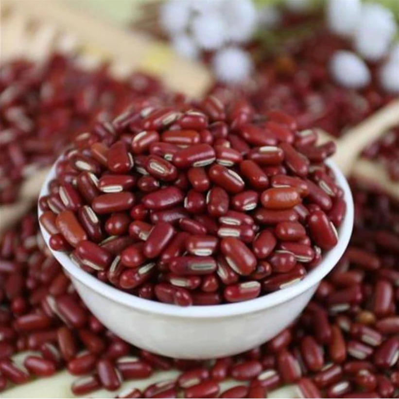 云南高原农家老品种小红豆