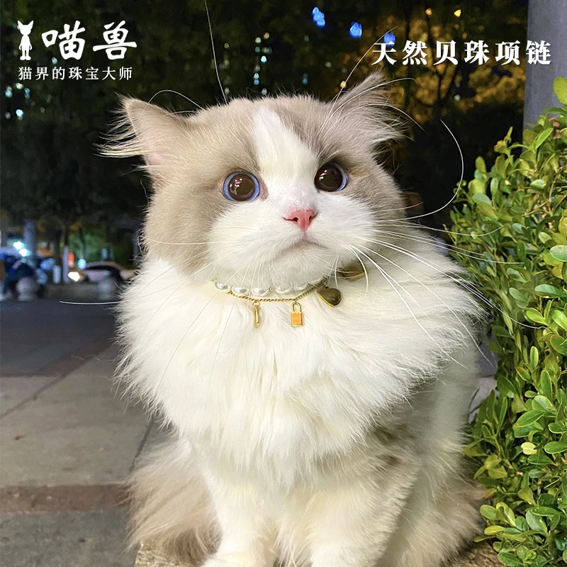 喵兽猫咪佩戴项链小型犬宠物专用珍珠项圈原创金砖暴富可调节