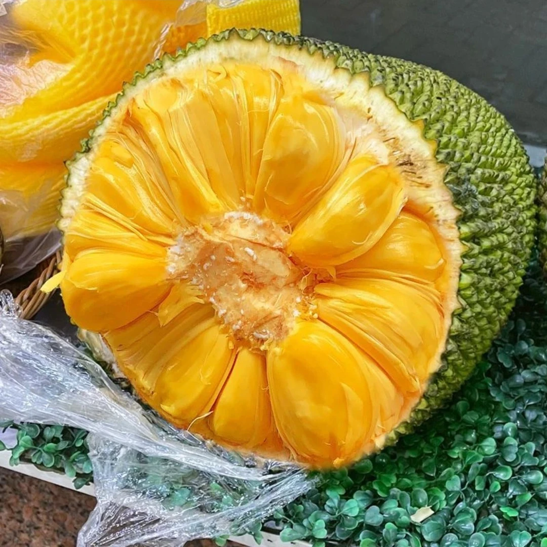 【坏果包赔】菠萝蜜 7-9斤  注意熟度在食用