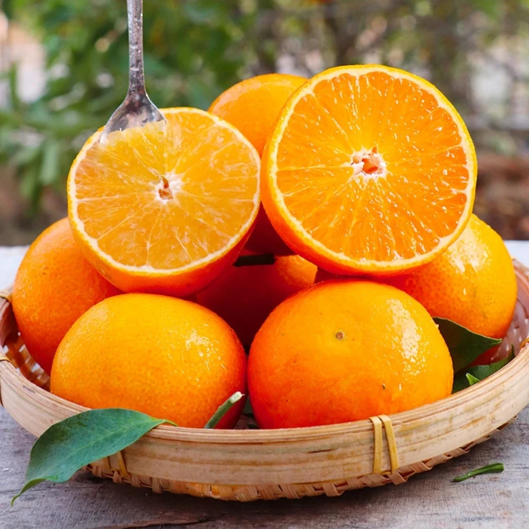 【坏果包赔】罗氏爱媛果冻橙净重7/4斤  颗粒感十足   爆汁香甜