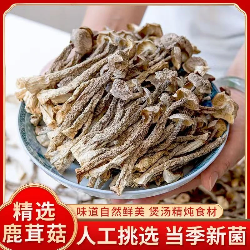 到手50g*4袋（试吃一包）鹿茸菇干新货农家特产鹿茸煲汤食材