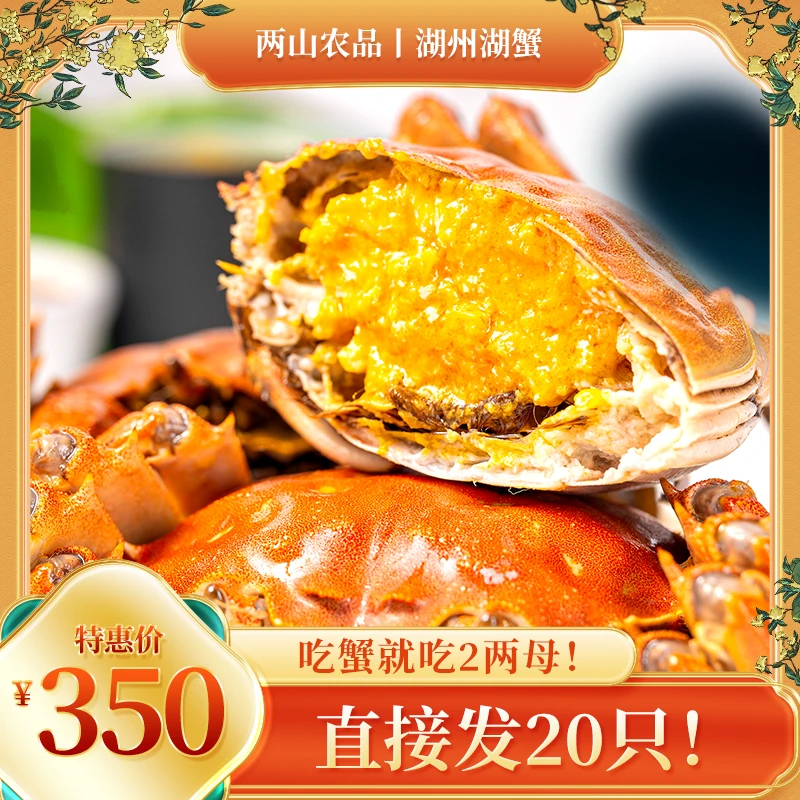 湖州湖蟹大闸蟹鲜活顺丰冷链发货2~2.2两母蟹20只