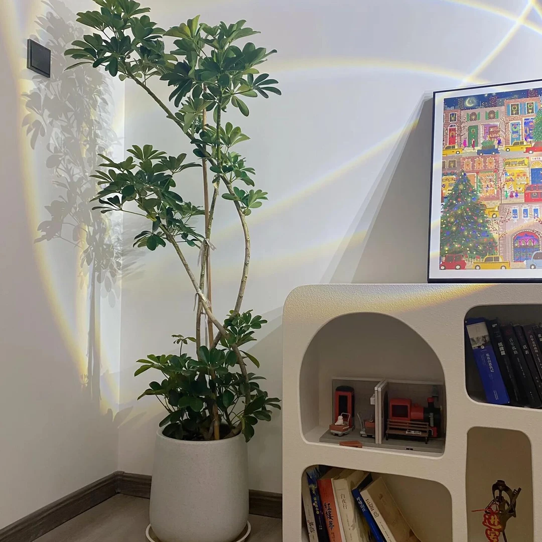 造型鸭脚木盆栽大室内大型绿植老桩落地轻奢七叶莲客厅植物