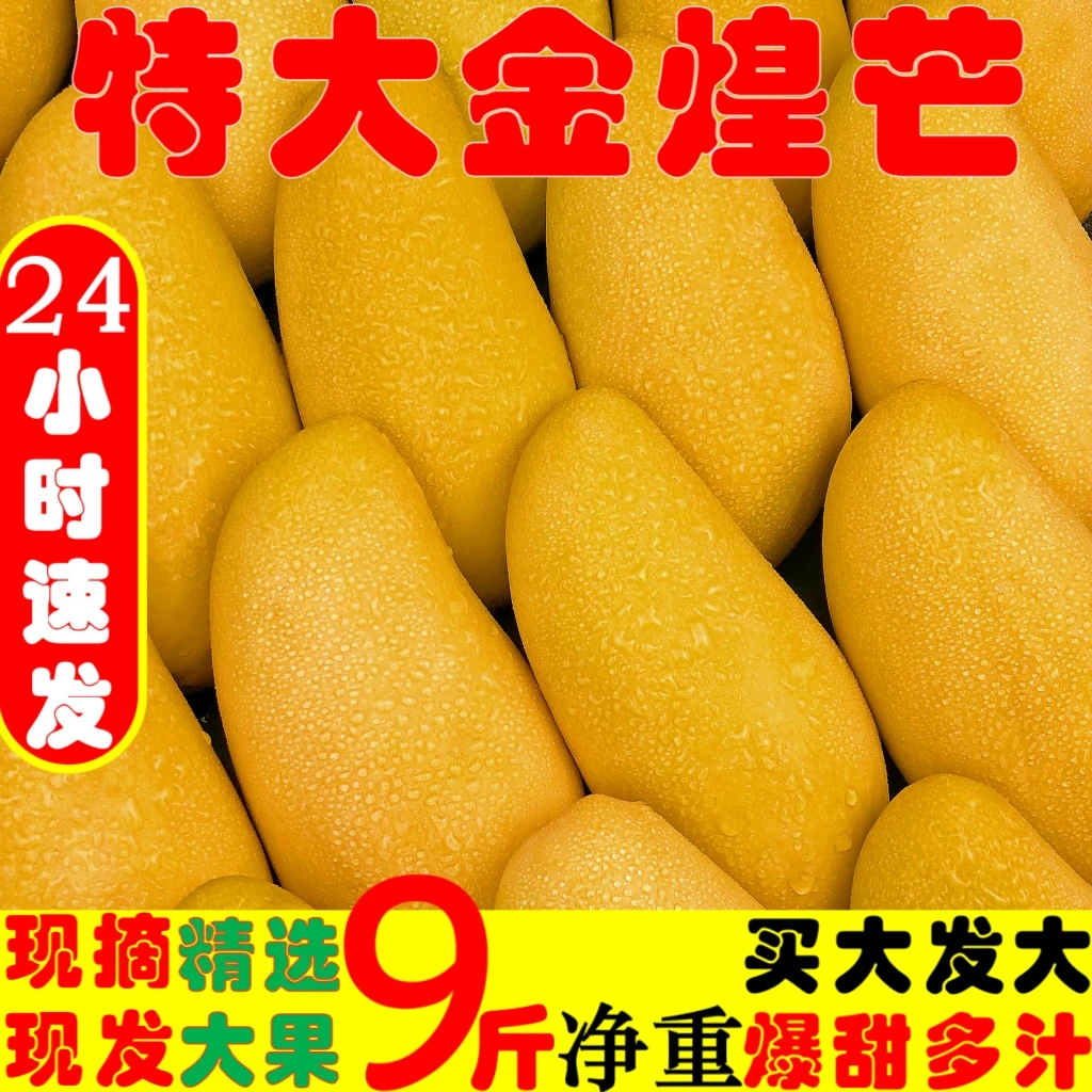 【需催熟】正宗海南金煌芒黄皮金煌芒现摘香甜特大果|轻微花皮|圆通