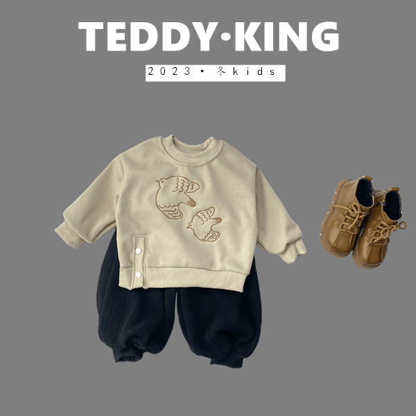 【Teddy King】2023冬 中小童 韩版  下摆钉扣小鸟卫衣  X2383