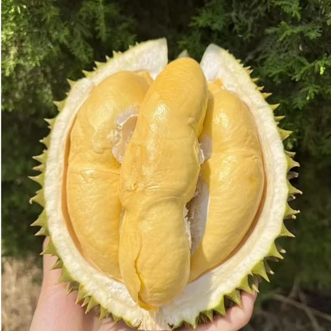 【开播福利果】黄金普雅新鲜榴莲纯肉一果一拍