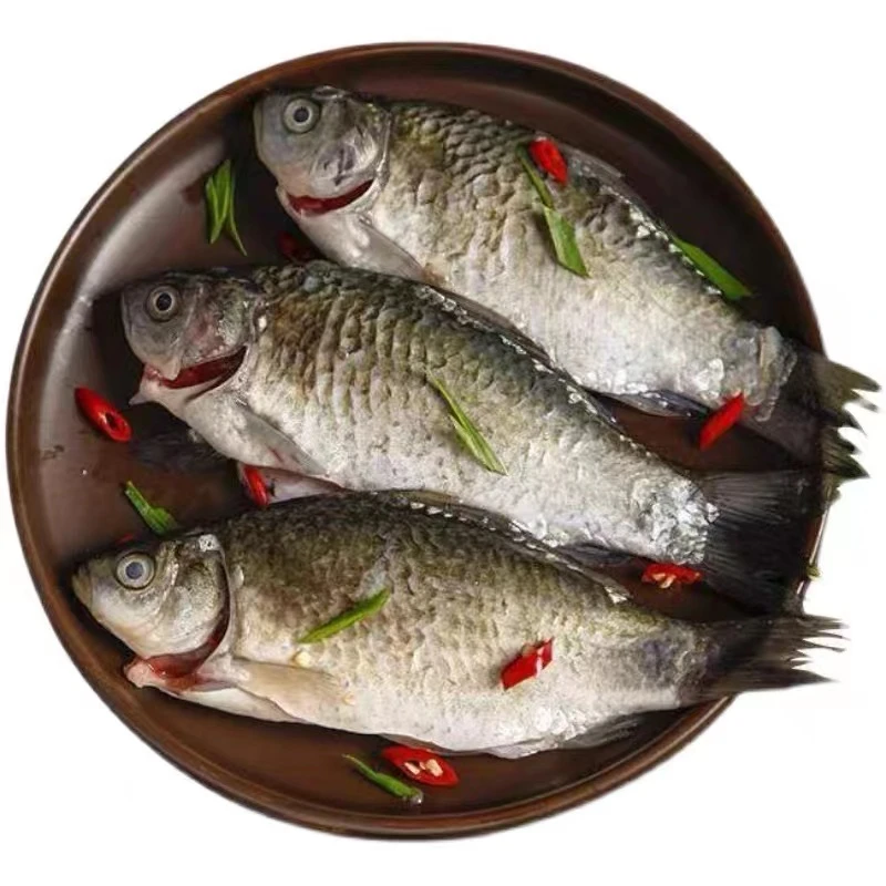 微山湖小号鲫鱼可油炸（每斤7-9条 ）
