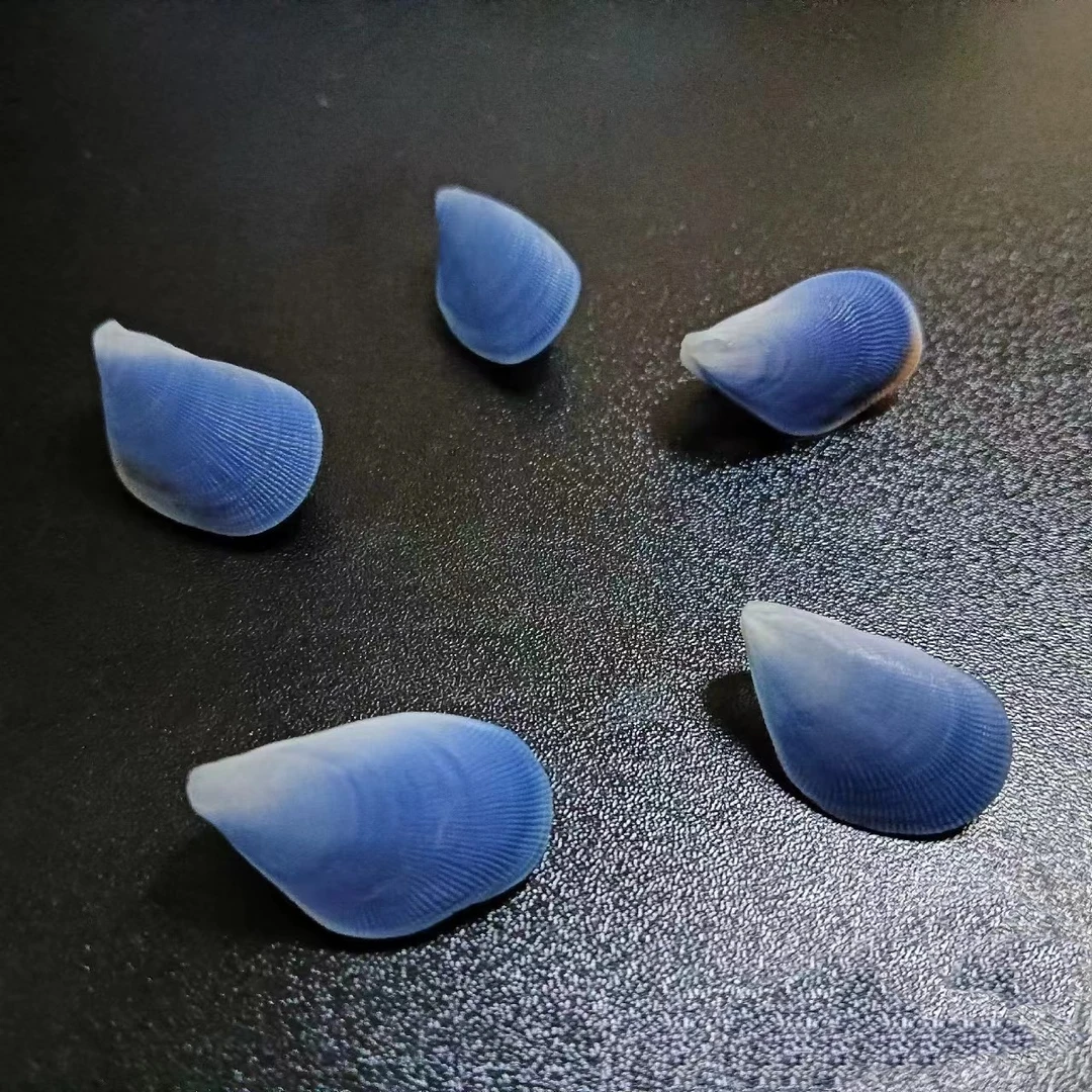 纯蓝蓝怡贝2-3厘米贝壳手工相框DIY