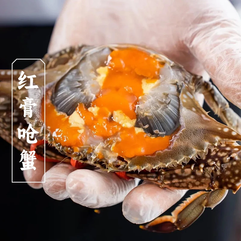 三关六码头宁波特产红膏呛蟹红膏炝蟹海鲜整只即食生鲜