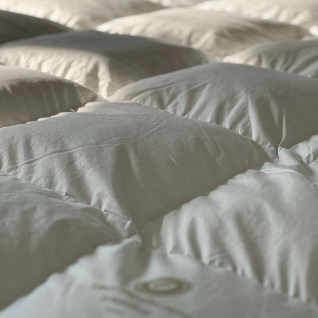 【开心家】熊抱抱 外贸尾单 全棉纯棉面料95白鹅绒杜邦纤维软床褥垫