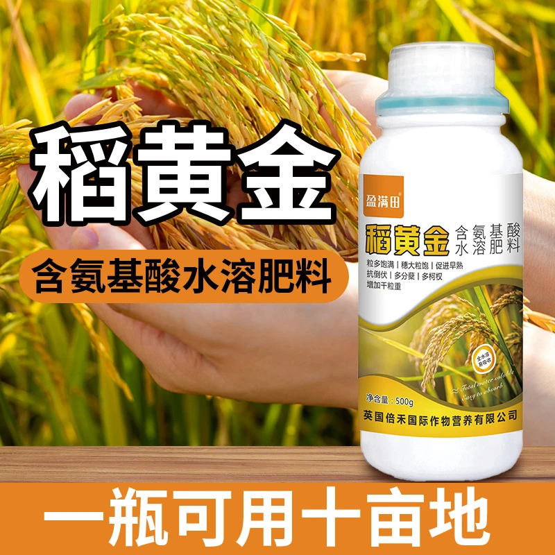 盈满田稻黄金水稻增产抗倒伏分蘖返青灌浆肥早熟粒粒饱微量元素