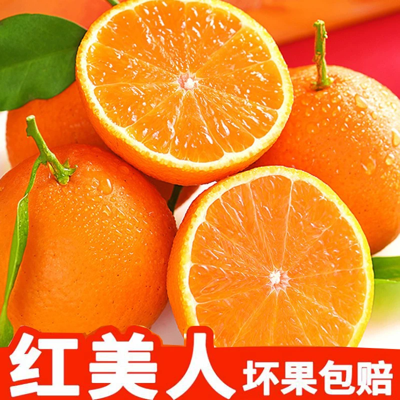 【红美人果冻橙28#】湖南芷江现摘现发应季鲜果香甜多汁包邮到家