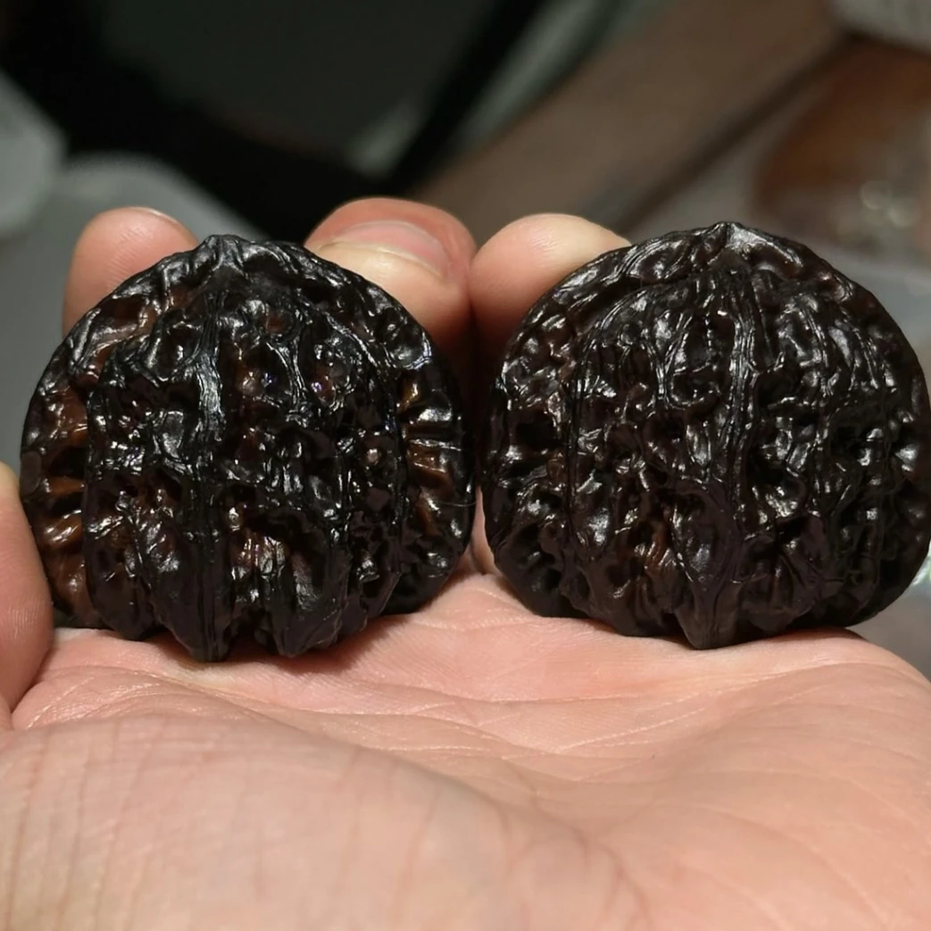 全品老树地闷白狮子