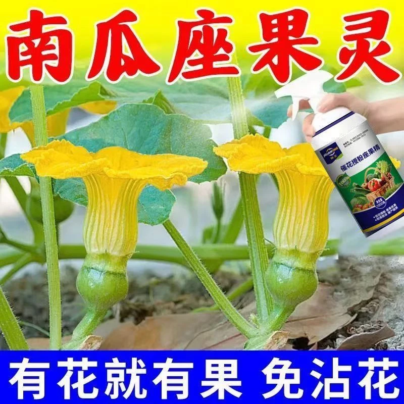 南瓜专用授粉贝贝南瓜授粉南瓜保花坐果点花沾花催花增瓜增瓜灵