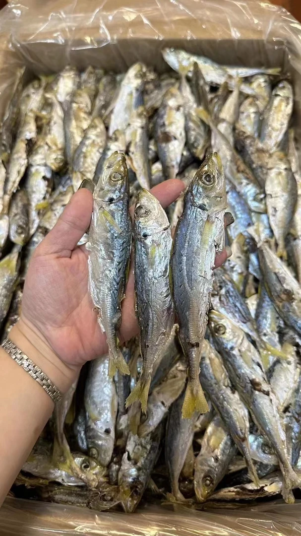 【顺丰快递】【甲子巴浪鱼干】本港巴浪鱼脯 淡补 酒配追剧小吃鱼干