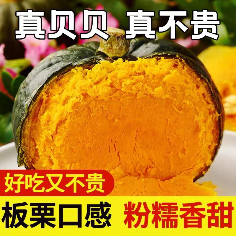 内蒙古沙漠贝贝南瓜4.5斤到5斤