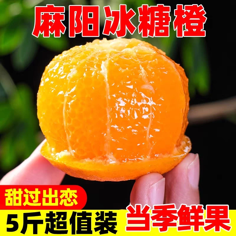 【芒墩墩果园1】湖南麻阳冰糖橙子5/9斤小身材大甜蜜现摘发坏果包赔