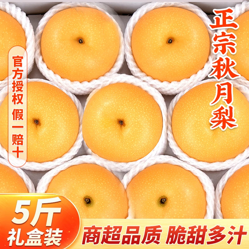 大梨【5斤装】正宗山东莱阳秋月梨子当季整箱精品新鲜应季水果当季