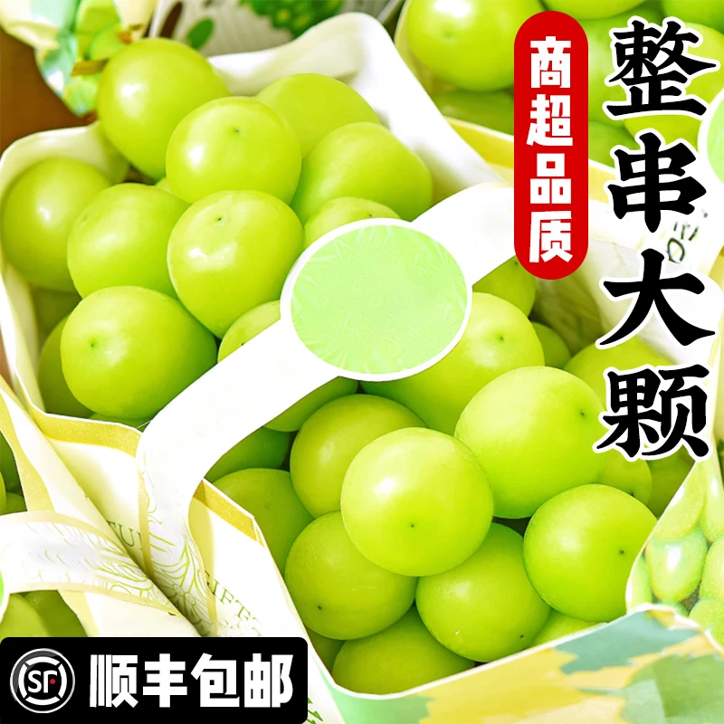 阳光玫瑰葡萄2斤装
