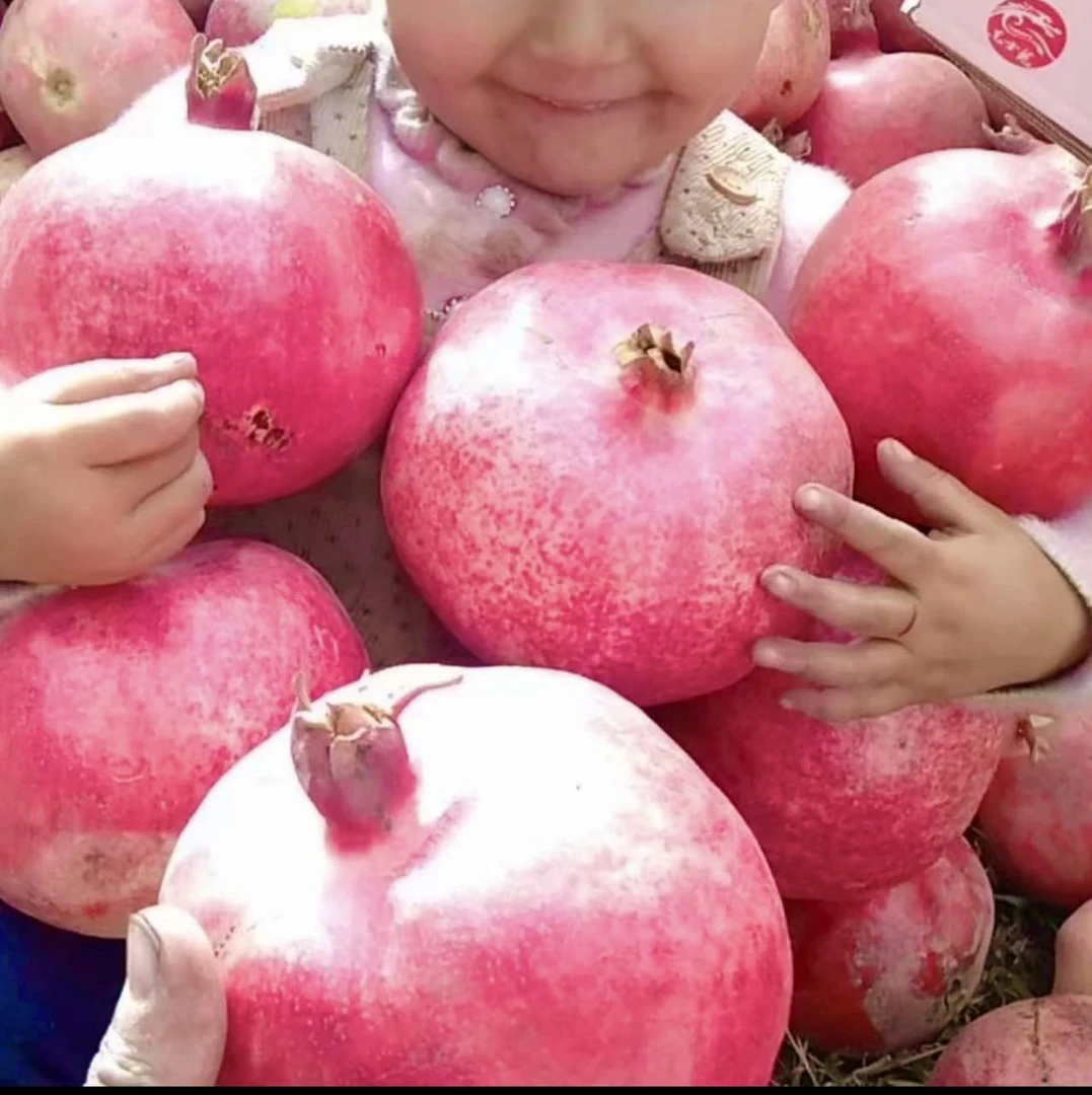 新疆 喀什叶城石榴包邮