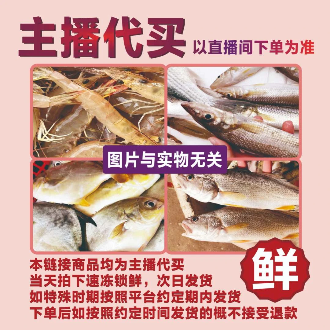 小冰推荐海陵岛浅海船捕捞野生鱼虾蟹 500g起拍优选