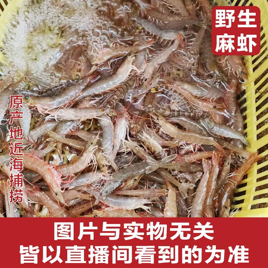 小冰推荐海陵岛本地浅海鱼虾蟹  500g起拍新鲜捕捞