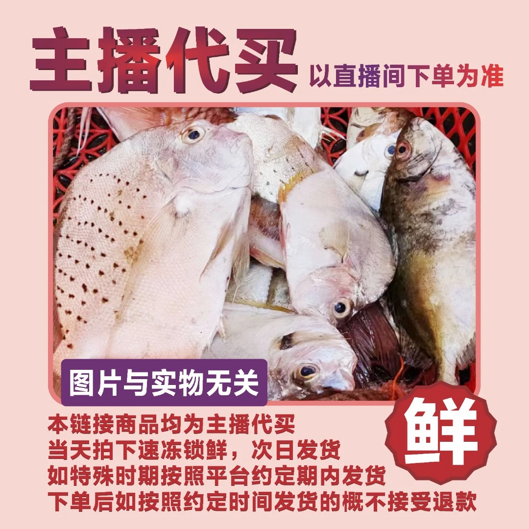 小冰推荐海陵岛浅海小船新鲜野生鱼虾蟹500g-5000g直播间现称为准