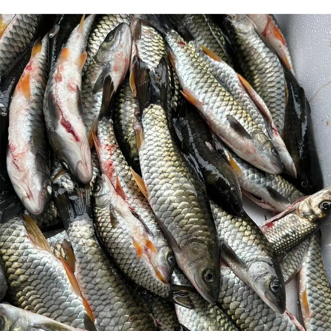 野生小河鱼（杂鱼去肚去内脏）约500g/盒