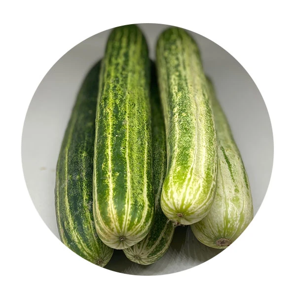农家黄瓜 约350g黄瓜同城送黄瓜同城配