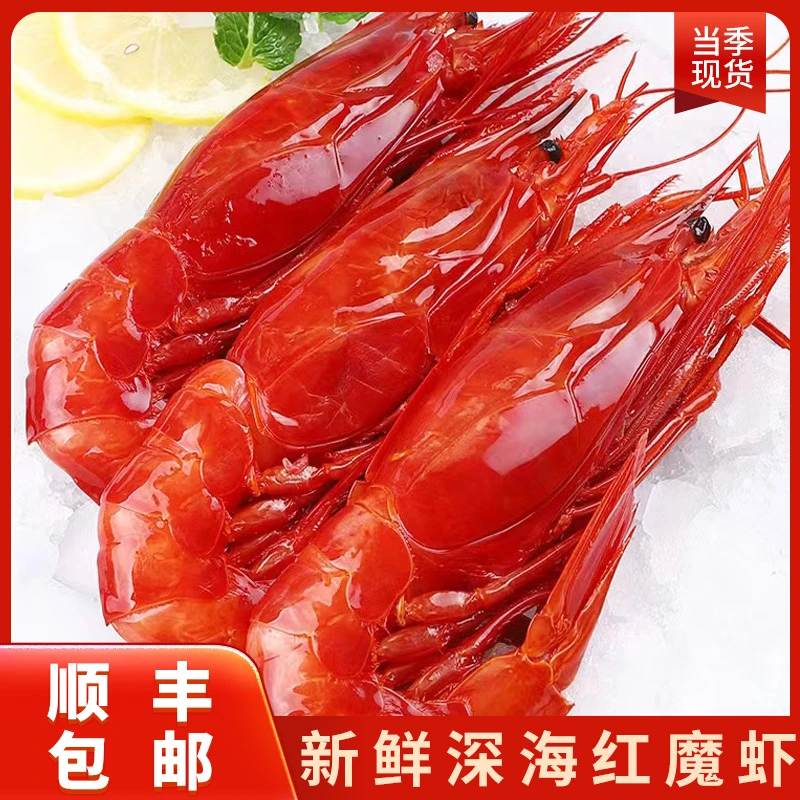 红魔虾特大虾鲜活刺身低温甜虾非莫桑比克西班牙生吃海鲜生腌海鲜
